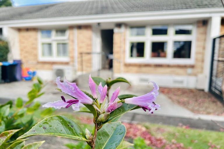 Photo of property in 3b Vogel Street, Cambridge, 3434