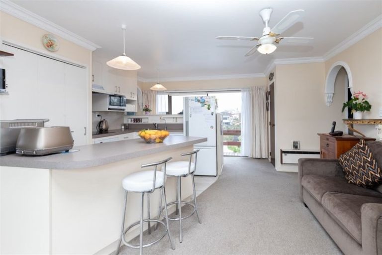 Photo of property in 19 Ridout Street, Maeroa, Hamilton, 3200