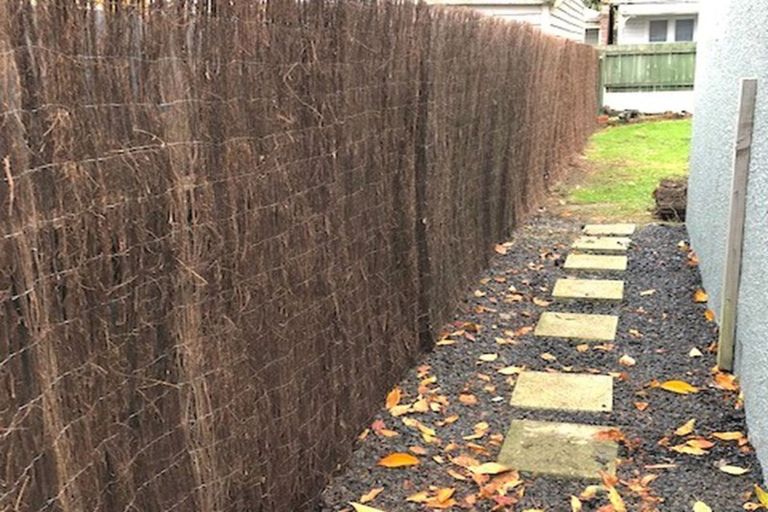 Photo of property in 8 Coburn Avenue, North East Valley, Dunedin, 9010