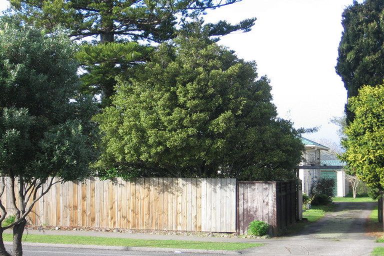 Photo of property in 8 Napier Road, Terrace End, Palmerston North, 4410