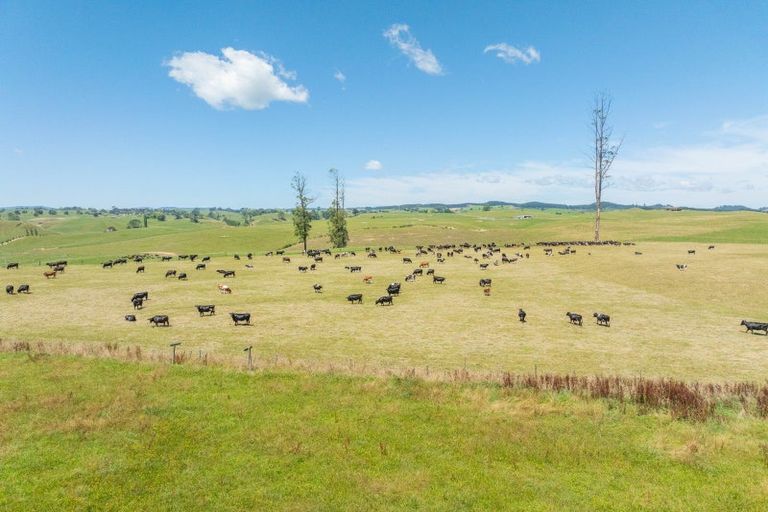 Photo of property in 557 Wiltsdown Road, Wiltsdown, Putaruru, 3482