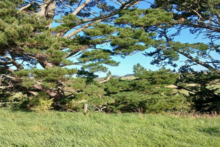 Photo of property in 88 Rapson Road, Kaukapakapa, 0871