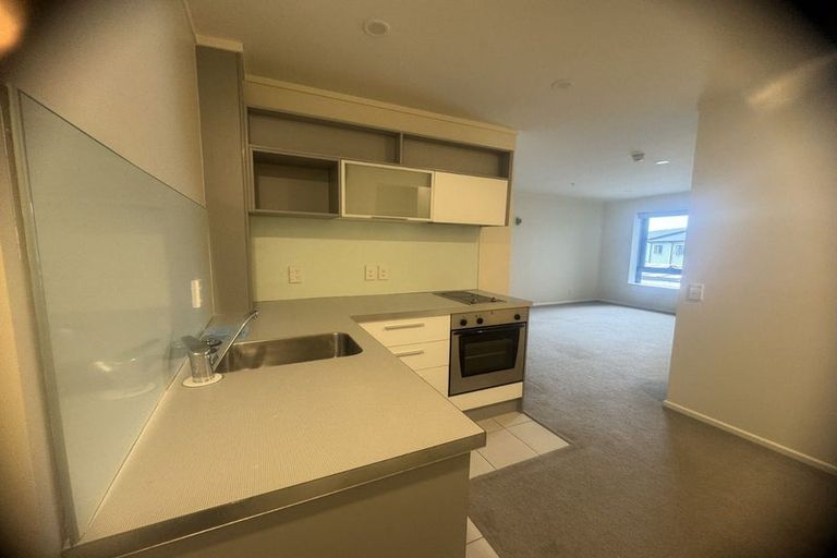 Photo of property in Luna Apartments, 1n/16 Burton Street, Grafton, Auckland, 1010