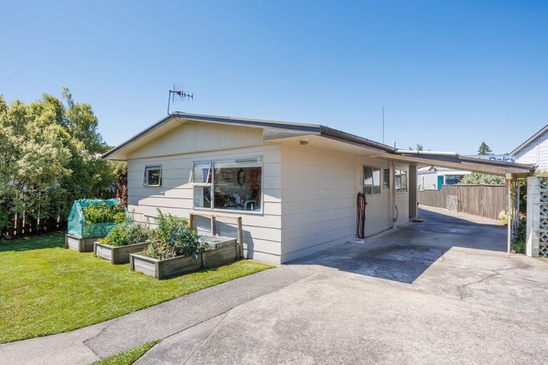 Photo of property in 102 Denbigh Street, Feilding, 4702