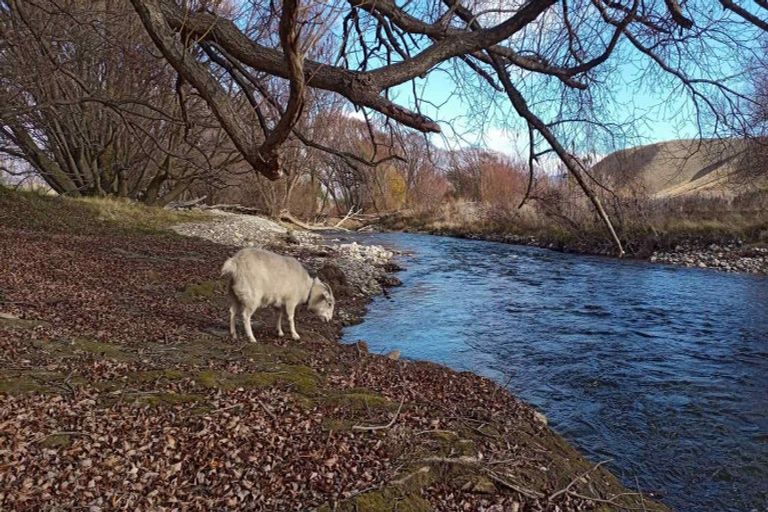 Photo of property in 633 Ardgour Road, Tarras, Cromwell, 9383