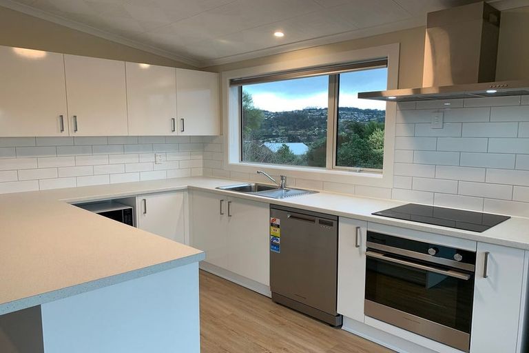 Photo of property in 6 Ann Street, Roslyn, Dunedin, 9010