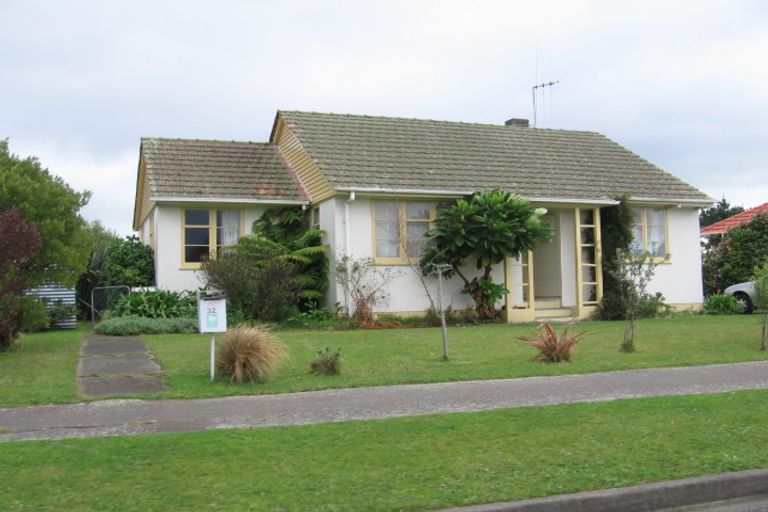 Photo of property in 32 Tweed Street, Roslyn, Palmerston North, 4414