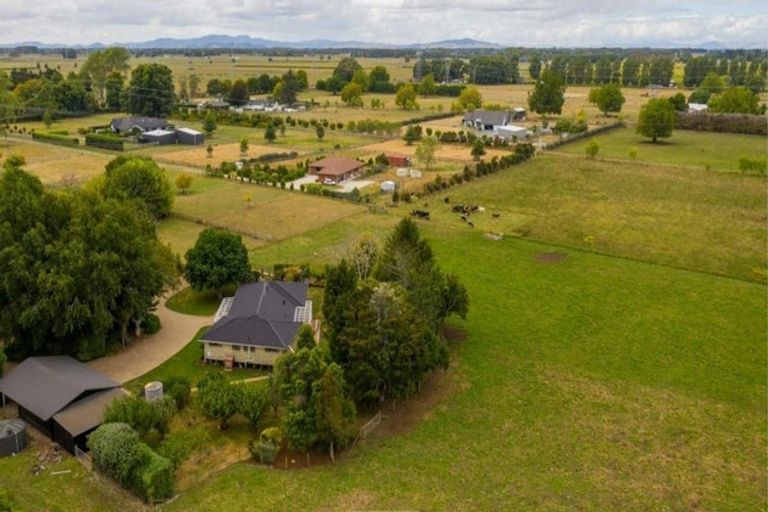 Photo of property in 186 Holland Road, Puketaha, Hamilton, 3286