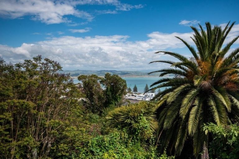 Photo of property in 20 Roslyn Road, Bluff Hill, Napier, 4110