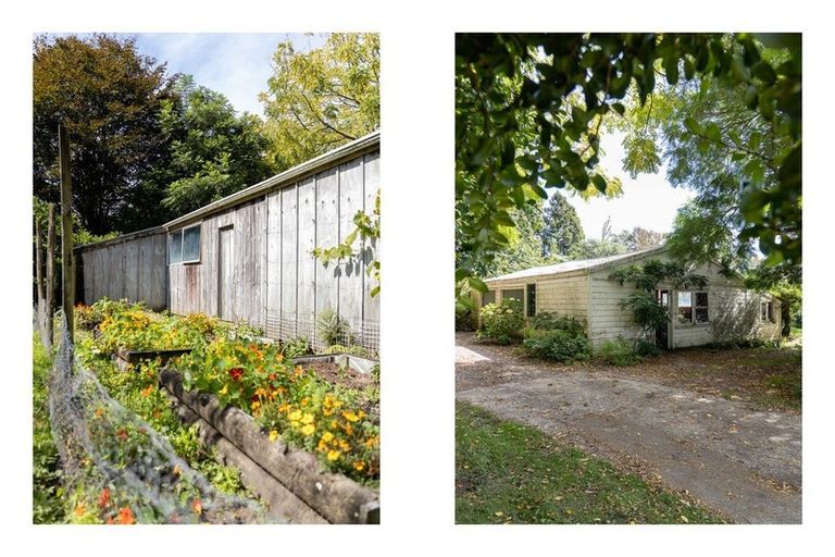 Photo of property in 233b Oropi Gorge Road, Oropi, Tauranga, 3173