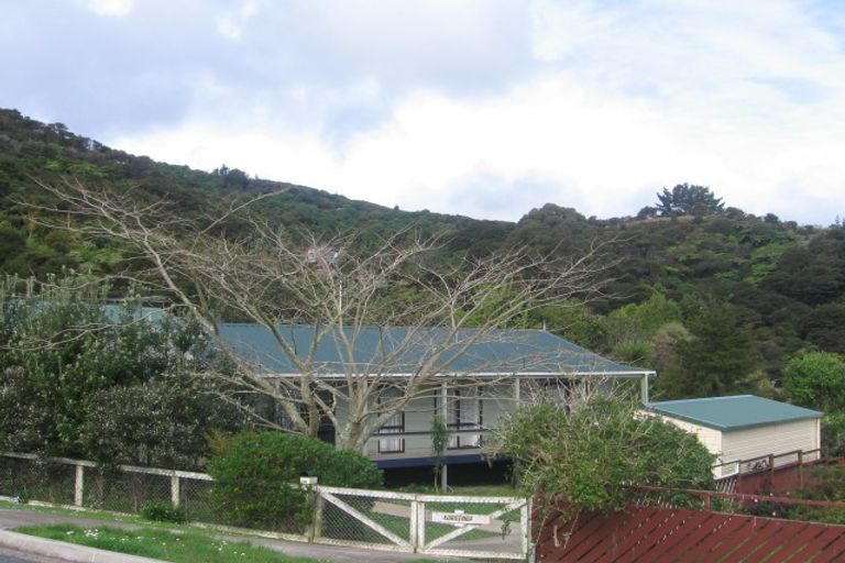 Photo of property in 300 Buffalo Road, Coromandel, 3506