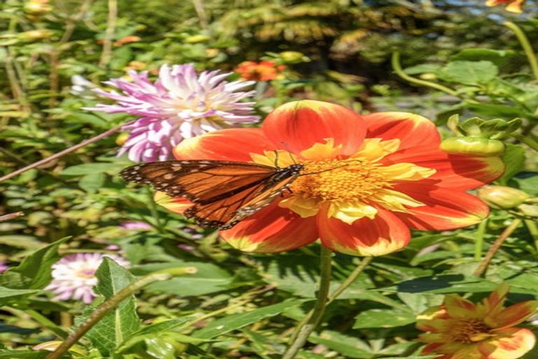 Photo of property in 3 Phillips Drive, Oropi, Tauranga, 3173