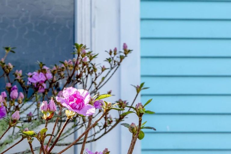 Photo of property in 28 Mills Street, Runanga, 7803