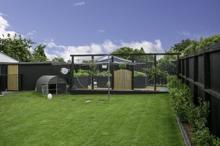 Photo of property in 9 Froude Street, Leamington, Cambridge, 3432