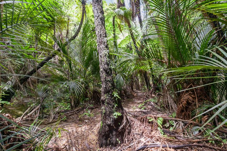 Photo of property in 950 Matakana Valley Road, Whangaripo, Wellsford, 0972