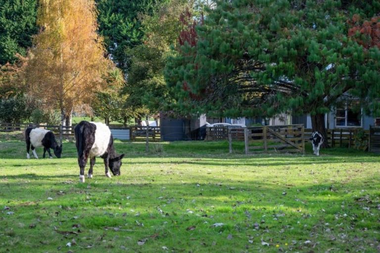Photo of property in 1140 Whirinaki Valley Road, Ngakuru, Rotorua, 3077
