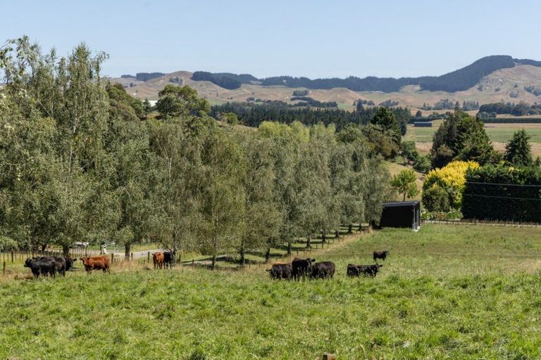 Photo of property in 237 Shanley Road, Crownthorpe, Hastings, 4179