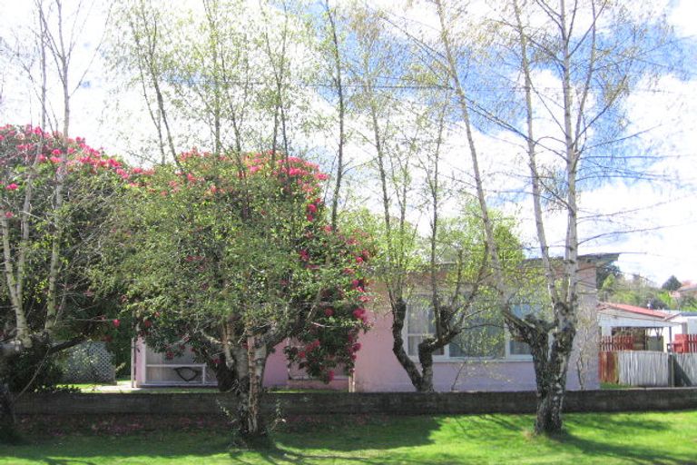Photo of property in 46 Brice Street, Tauhara, Taupo, 3330
