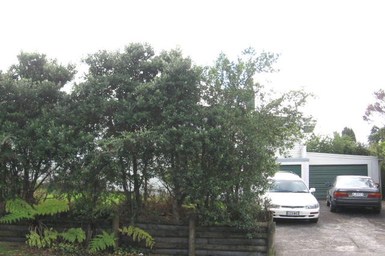 Photo of property in 46 Pine Avenue, Henderson, Auckland, 0612