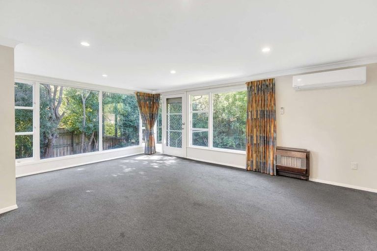 Photo of property in 1 Berkley Place, Awapuni, Palmerston North, 4412