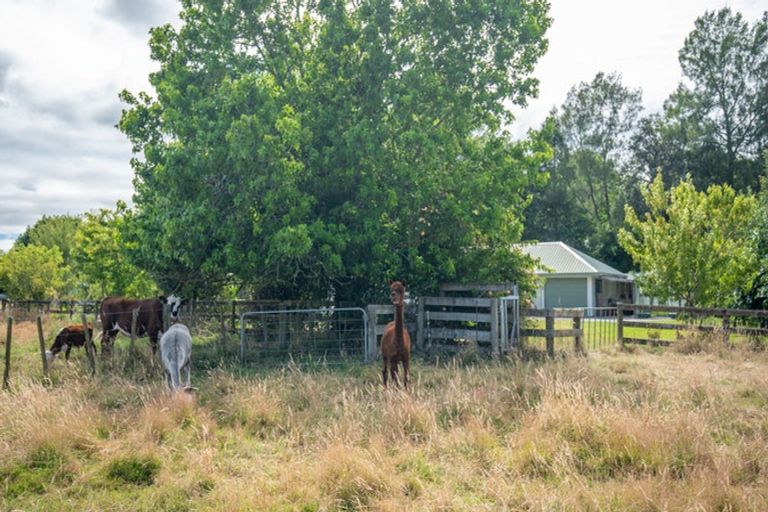 Photo of property in 15 Golf Street, Putaruru, 3411