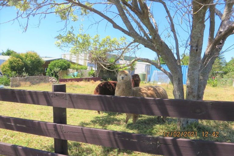 Photo of property in 141 Jesmond Road, Karaka, Drury, 2578