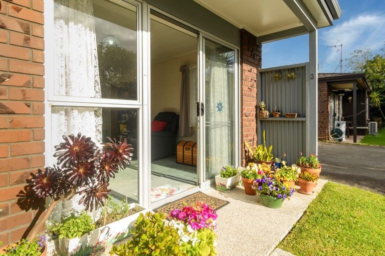 Photo of property in 3/46 Thirteenth Avenue, Tauranga South, Tauranga, 3112
