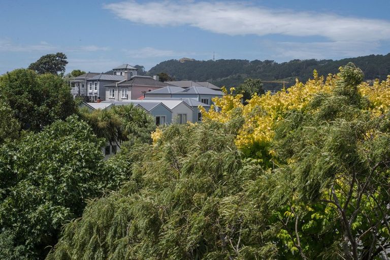 Photo of property in 123 Wallace Street, Mount Cook, Wellington, 6021