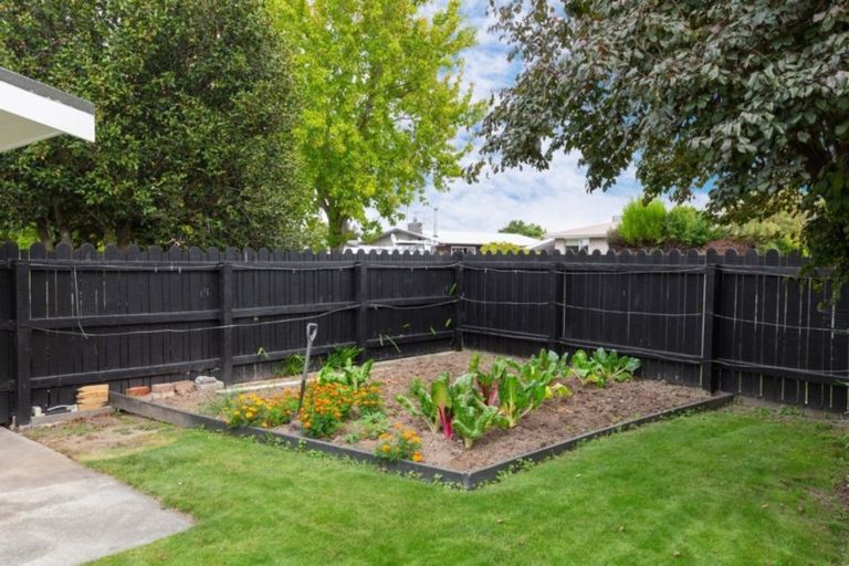 Photo of property in 8 Lynley Crescent, Blenheim, 7201