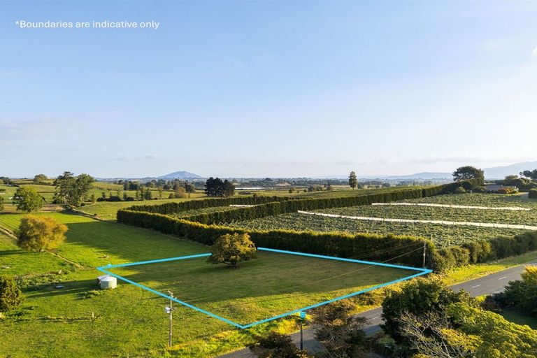 Photo of property in 55 Forkert Road, Ohaupo, 3803