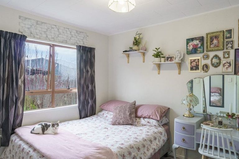 Photo of property in 19 Skerrett Crescent, Tamatea, Napier, 4112