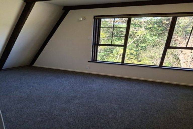 Photo of property in 19 Mcauley Road, Portobello, Dunedin, 9014