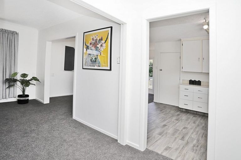 Photo of property in 198 Lamond Street, Hargest, Invercargill, 9810