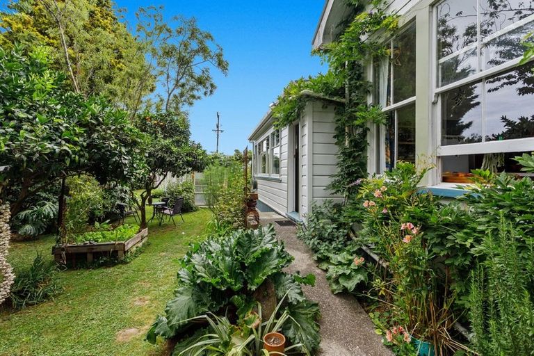 Photo of property in 86 Wellington Street, Opotiki, 3122