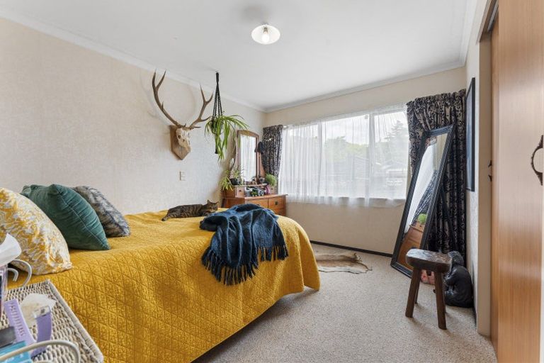 Photo of property in 38a Wood Street, Takaro, Palmerston North, 4410