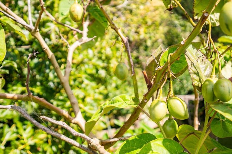 Photo of property in 90 Colville Road, Dargaville, 0310