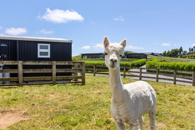 Photo of property in 3a Parrs Road, Hurworth, New Plymouth, 4371