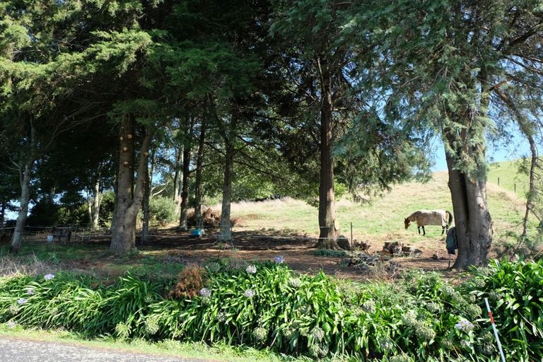 Photo of property in 211 Kimihia Road, Huntly, 3771