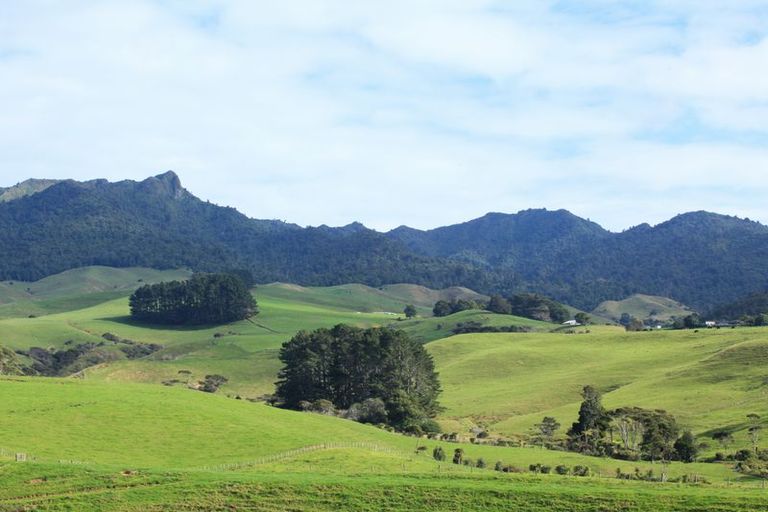 Photo of property in 76 Te Ahiawa Road, Raglan, 3297