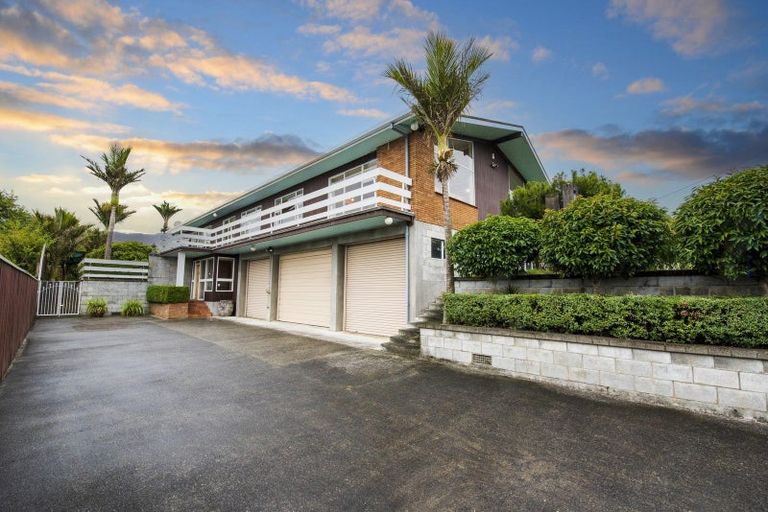 Photo of property in 239 Cambridge Street, Levin, 5510