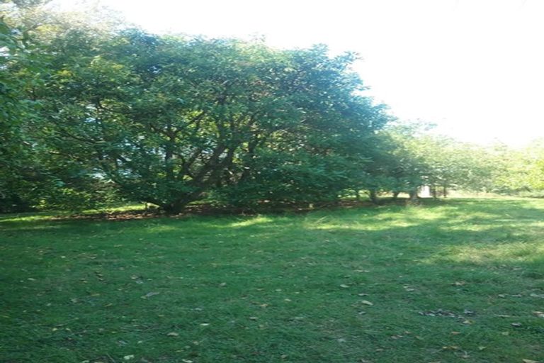 Photo of property in 88 Mark Road, Te Puke, 3188