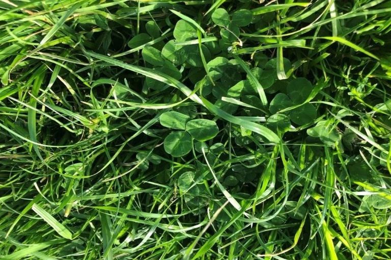 Photo of property in 51 Mcleod Road, Waipapa, 0295