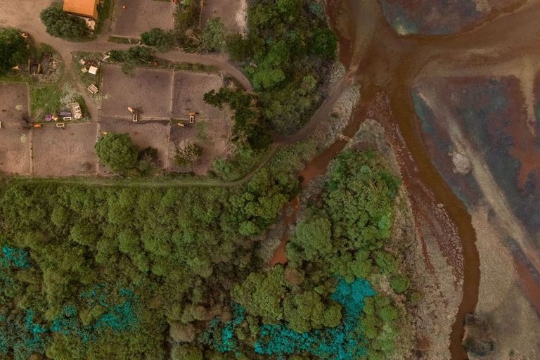 Photo of property in 471 Brighton Road, Westwood, Dunedin, 9035