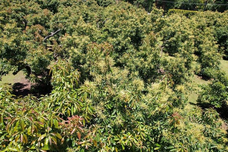 Photo of property in 55 Plummers Point Road, Whakamarama, Tauranga, 3172