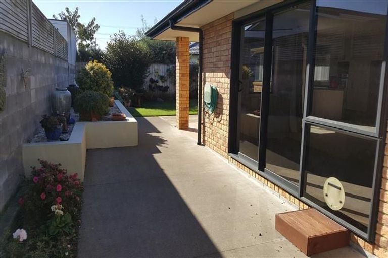 Photo of property in 62a Paynters Avenue, Strandon, New Plymouth, 4312