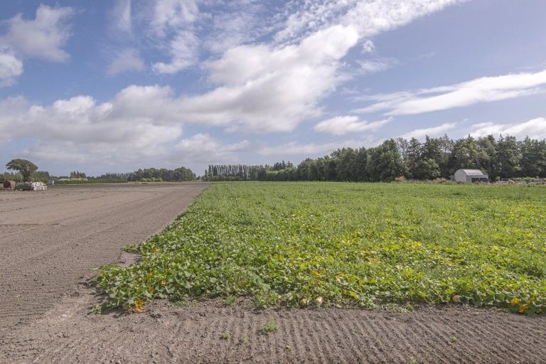 Photo of property in 37 Mcsaveneys Road, Marshland, Christchurch, 8051