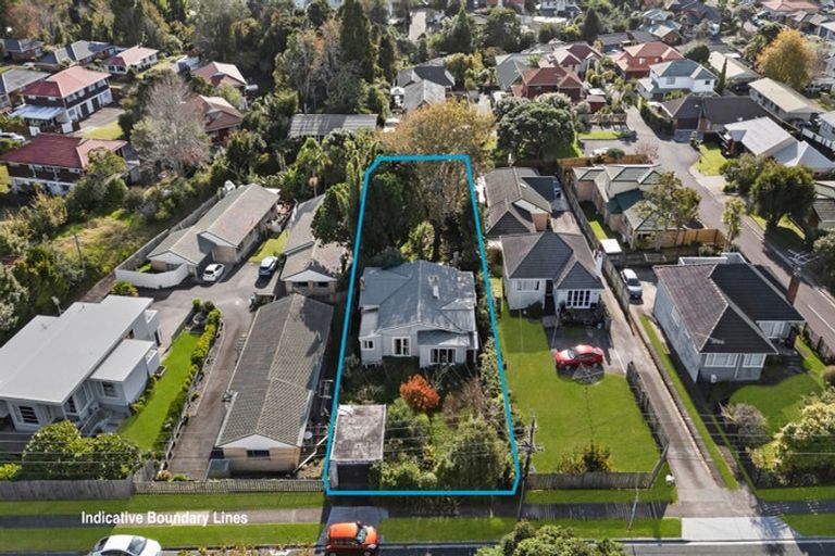 Photo of property in 117 Hutchinson Avenue, New Lynn, Auckland, 0600