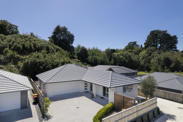 Photo of property in 30 Cheese Factory Lane, Brookfield, Tauranga, 3110