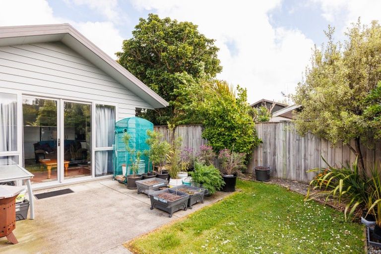 Photo of property in 49 Weston Avenue, Roslyn, Palmerston North, 4414
