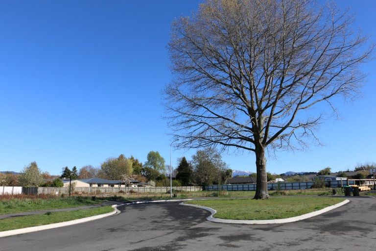 Photo of property in 24 Strawberry Place, Geraldine, 7930